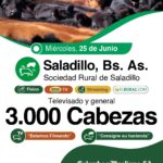 Colombo y Magliano S.A. | Saladillo, Bs. As. | Próximo Remate Feria el miércoles 25 de junio de 2025