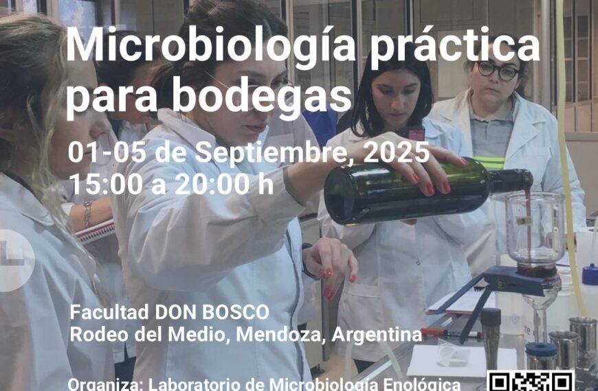 Curso Intensivo de Microbiología Práctica para Bodegas: Conocimientos Clave para el Sector Enológico