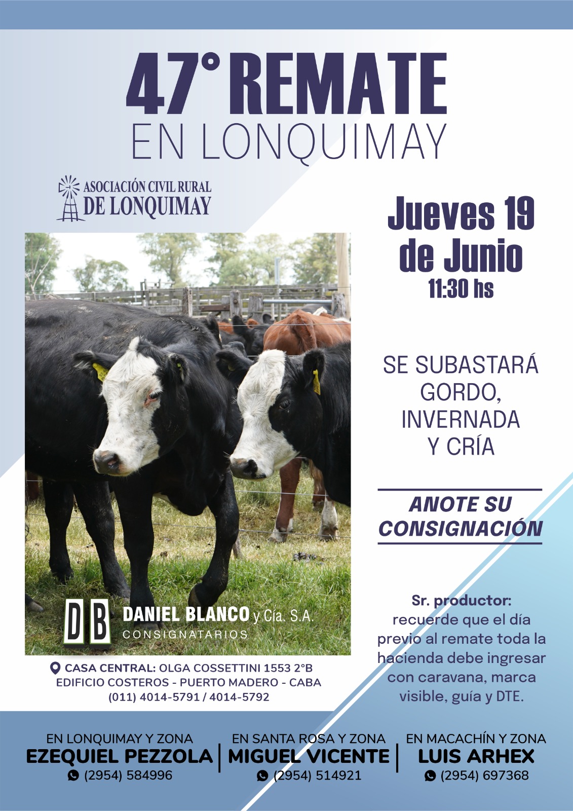 Daniel Blanco y Cía. S.A. | Lonquimay | Próximo Remate Feria el Jueves 19 de junio de 2025