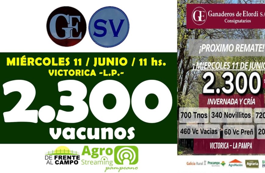 Ganaderos de Elordi S.A. y Sociedad Victorica S.R.L. | Victorica | Próximo Remate Feria el miércoles 11 de junio de 2025