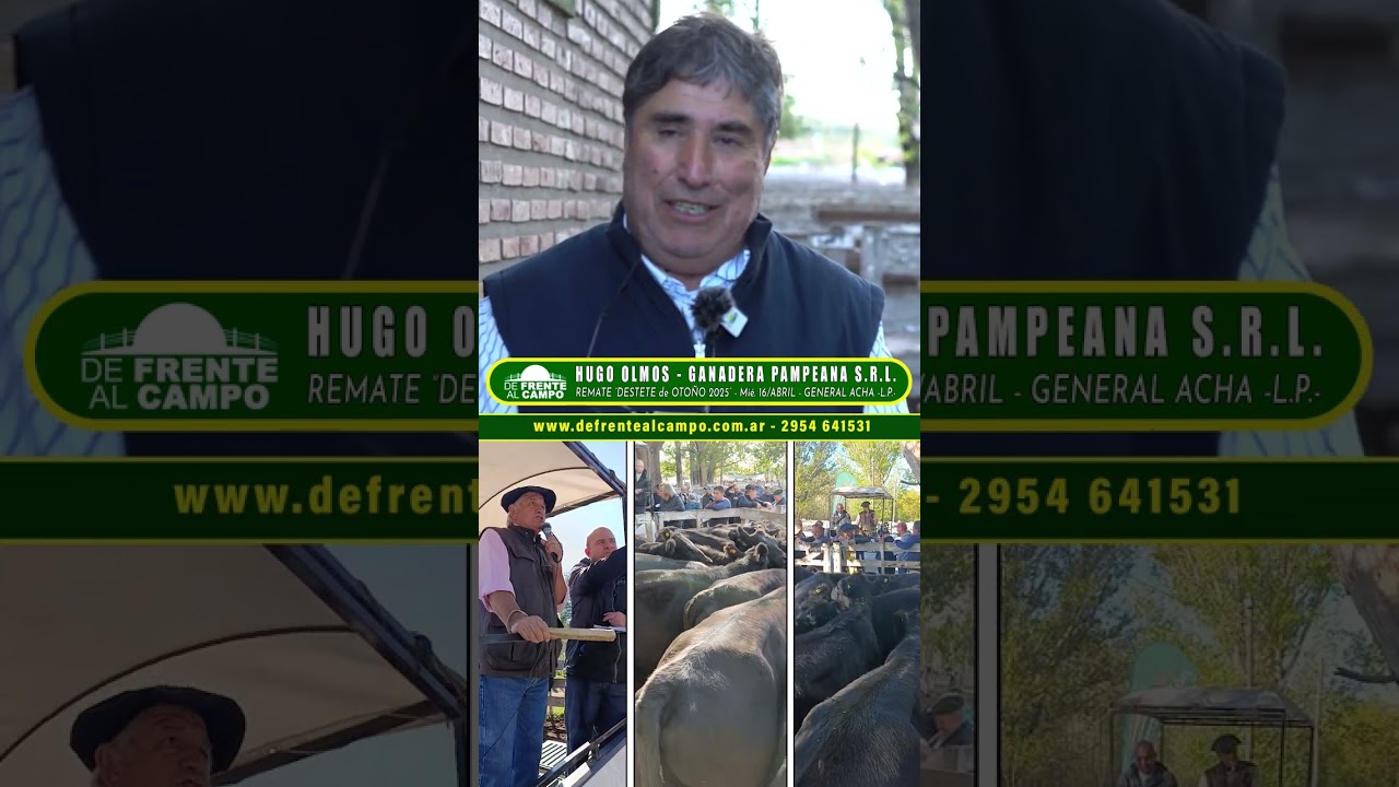 Ganadera Pampeana: El éxito del 3° Remate Destete de otoño 2025 con excelentes precios y el impacto de las lluvias en la hacienda
