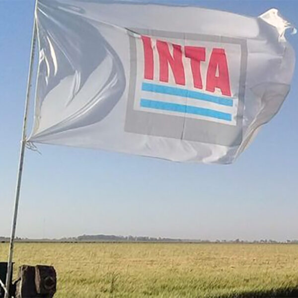 Milei avanza con el ajuste estatal: el INTA, INTI, ANMAT y el Instituto del Cáncer en la mira