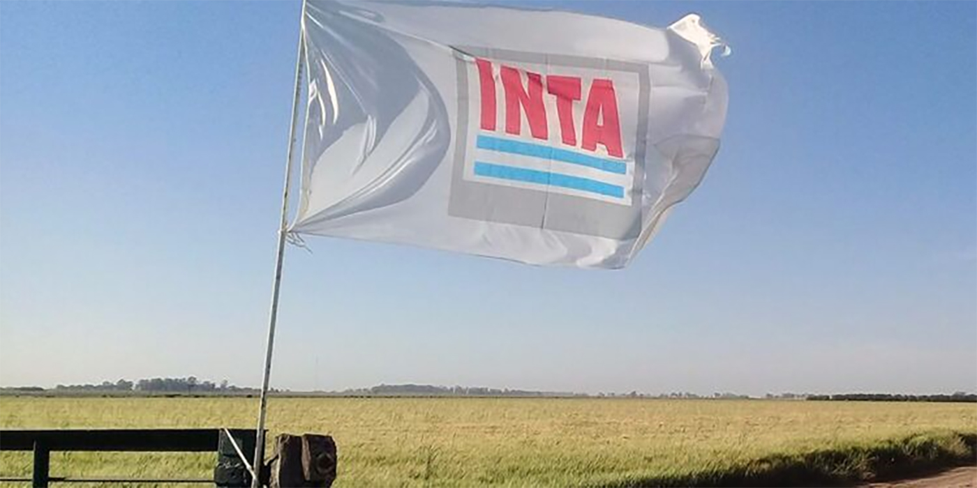 Milei avanza con el ajuste estatal: el INTA, INTI, ANMAT y el Instituto del Cáncer en la mira