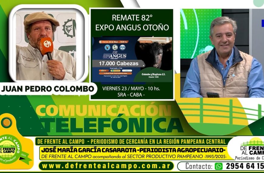 Entrevista: Juan Pedro Colombo de Colombo y Magliano S.A. y el remate televisado de la 82° Expo Angus de Otoño