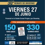 Lanusse/Santillán | Coronel Pringles | Próximo Remate Feria el viernes 27 de junio de 2025