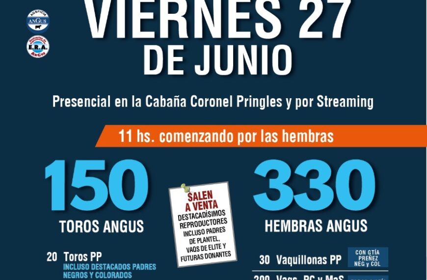 Lanusse/Santillán | Coronel Pringles | Próximo Remate Feria el viernes 27 de junio de 2025
