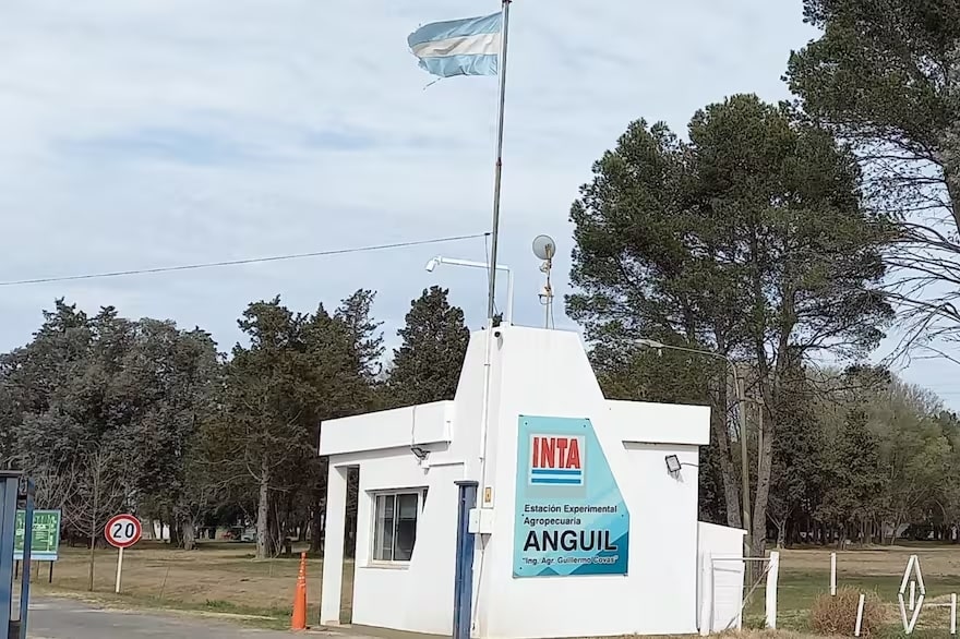 Horas clave para el INTA: el secretario de Agricultura anticipó profundas reformas en la estructura del organismo