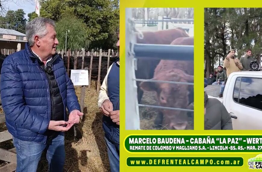 Entrevista: Marcelo Baudena de Cabaña La Paz y el presente excepcional de la ganadería
