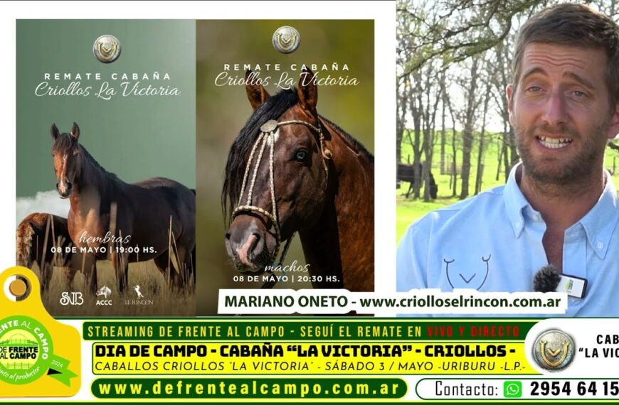 Visita: Día de campo y remate en Cabaña «La Victoria», un pilar de la genética criolla pampeana