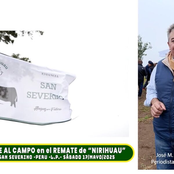 Estancia San Severino: 1° Remate de Otoño de Cabaña Nirihuau