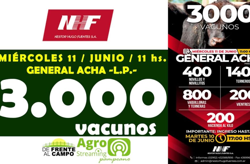 Néstor Hugo Fuentes S.A. | General Acha | Próximo Remate Feria el miércoles 11 de junio de 2025
