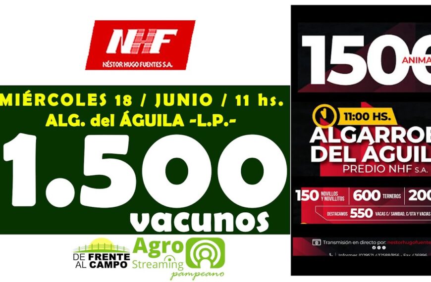 Néstor Hugo Fuentes S.A. | Algarrobo del Águila | Próximo Remate Feria el miércoles 18 de junio de 2025