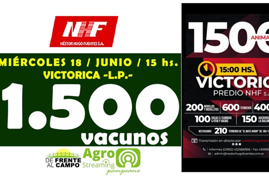Néstor Hugo Fuentes S.A. | Victorica | Próximo Remate Feria el miércoles 18 de junio de 2025