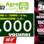 Néstor Hugo Fuentes S.A. | Bernasconi | Próximo Remate Feria el jueves 5 de junio de 2025