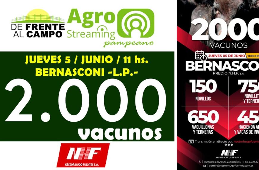 Néstor Hugo Fuentes S.A. | Bernasconi | Próximo Remate Feria el jueves 5 de junio de 2025