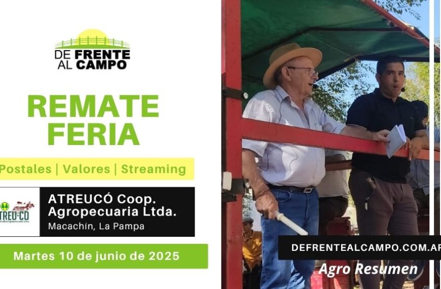 Remate Feria de ATREU-CO Cooperativa Agropecuaria Ltda. | Macachín | Martes 10/06/2025