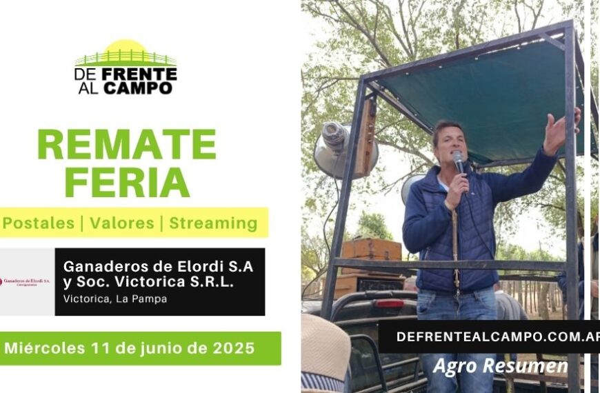 Remate Feria de Ganaderos de Elordi S.A. y Sociedad Victorica S.R.L. | Victorica | Miércoles 11/06/2025