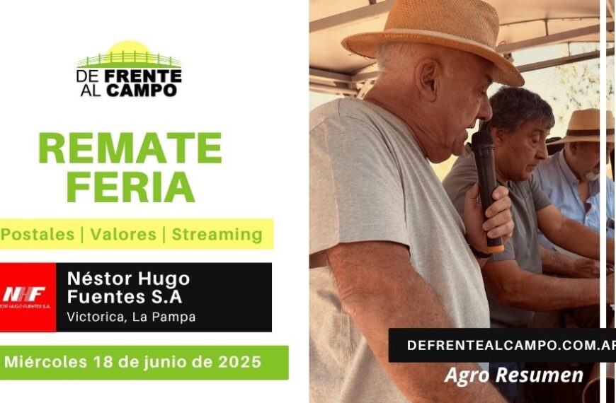 Remate Feria de Néstor Hugo Fuentes S.A. | Victorica | Miércoles 18/06/2025