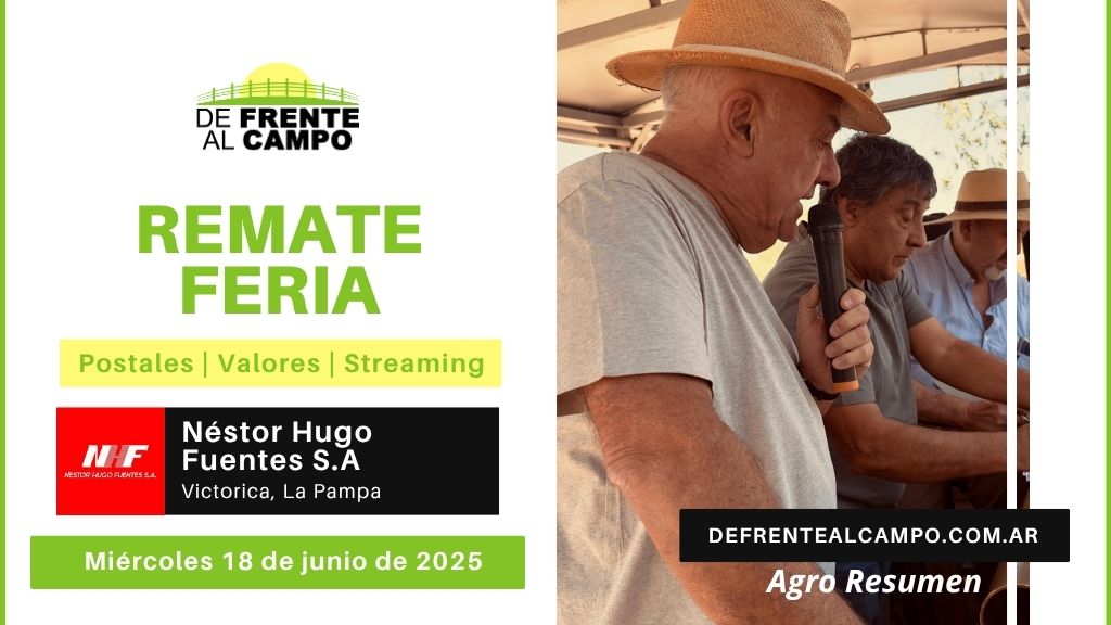 Remate Feria de Néstor Hugo Fuentes S.A. | Victorica | Miércoles 18/06/2025