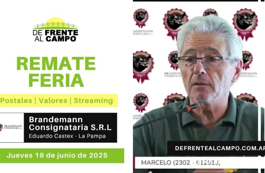 Remate Feria de Brandemann Consignataria S.R.L. | Eduardo Castex | Jueves 19/06/2025