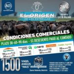 Saenz Valiente, Bullrich | Bolívar | Próximo Remate Feria el sábado 28 de junio de 2025