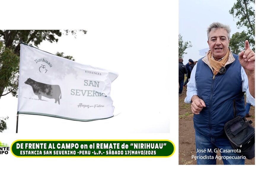 Gran convocatoria en el Remate de Cabaña Nirihuau en Perú: Angus del Futuro y Expectativas para el Sector