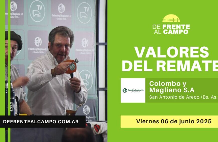 Valores del remate de Colombo y Magliano S.A. | San Antonio de Areco | 6/6/2025