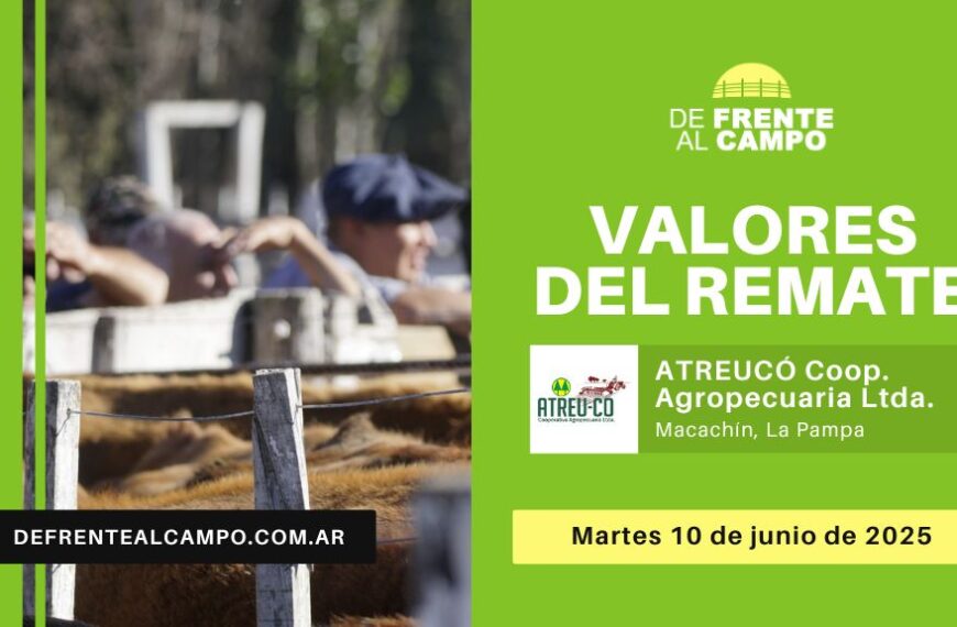 Valores del remate de ATREU-CO Cooperativa Agropecuaria Ltda. | Macachín | Martes 10/06/2025