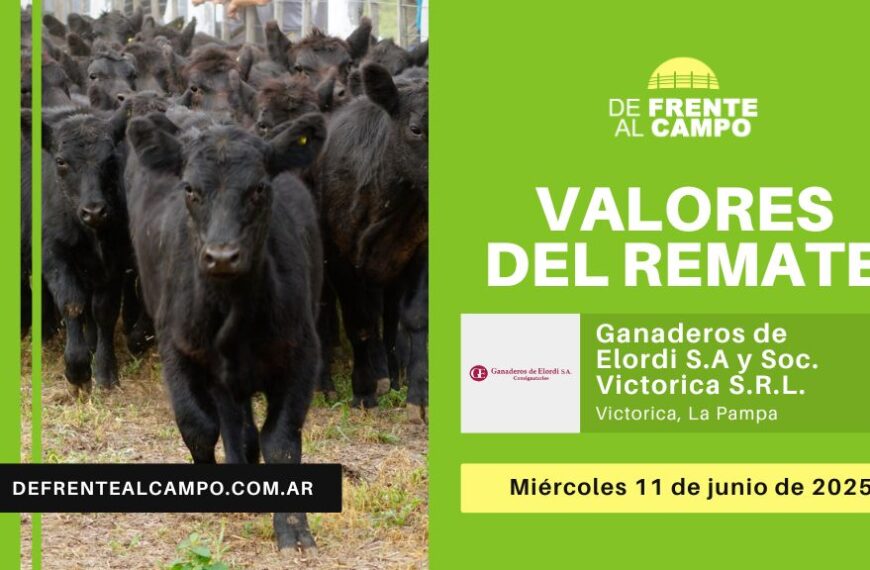 Valores del remate de Ganaderos de Elordi S.A. y Sociedad Victorica S.R.L. | Victorica (La Pampa) | Miércoles 11/06/2025