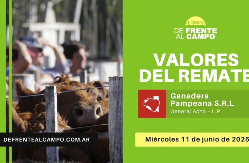 Valores del remate de Ganadera Pampeana S.R.L. | General Acha | Miércoles 11/06/2025