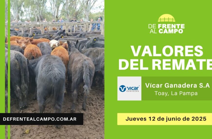 Valores del remate de Vicar Ganadera | Toay | Jueves 12/06/2025