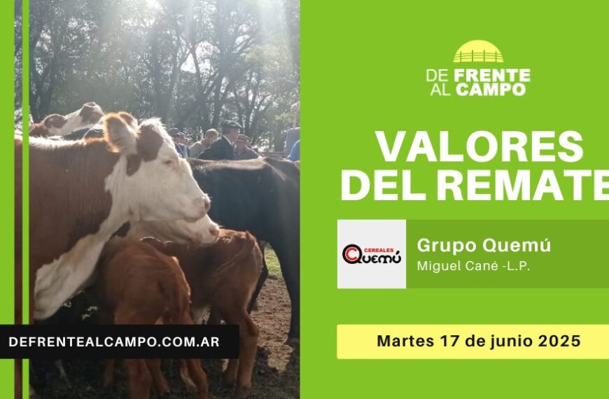 Valores del remate de Grupo Quemú | Miguel Cané | Martes 17/06/2025