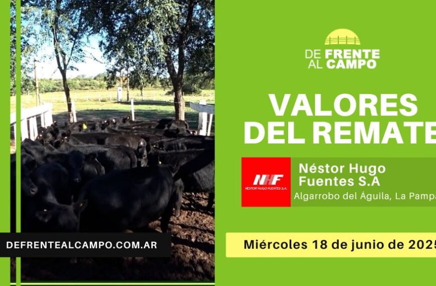 Valores del remate de Néstor Hugo Fuentes S.A. | Algarrobo del Águila | Miércoles 18/06/2025