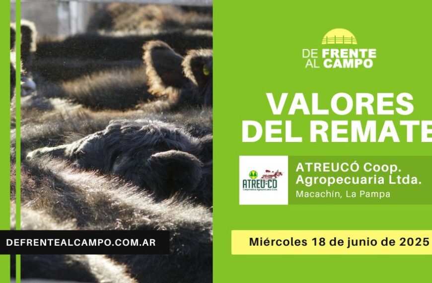 Valores del remate de ATREU-CO | Macachín | Miércoles 18/06/2025