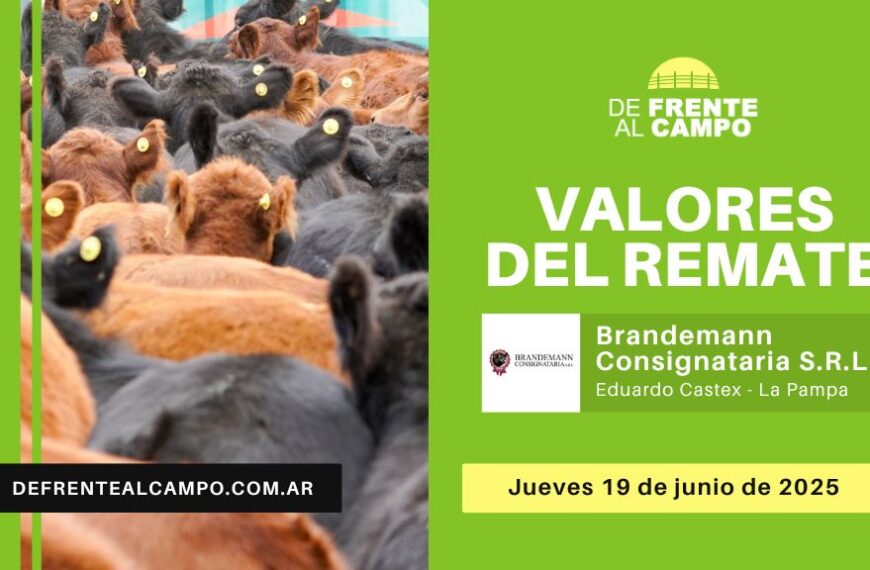 Valores del remate de Brandemann Consignataria S.R.L. | Eduardo Castex | Jueves 19/06/2025