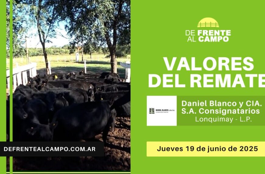 Valores del remate de Daniel Blanco y Cía. S.A. | Lonquimay | Jueves 19/06/2025