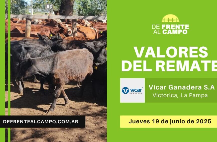 Valores del remate de Vicar Ganadera | Victorica | Jueves 19/06/2025