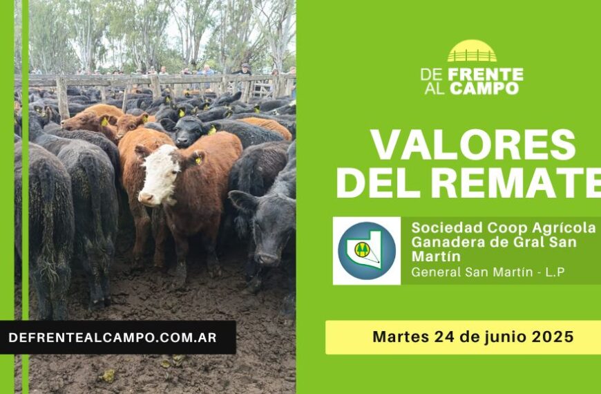 Valores del remate de Sociedad Cooperativa Agrícola Ganadera Ltda. | General San Martín | Martes 24/06/2025