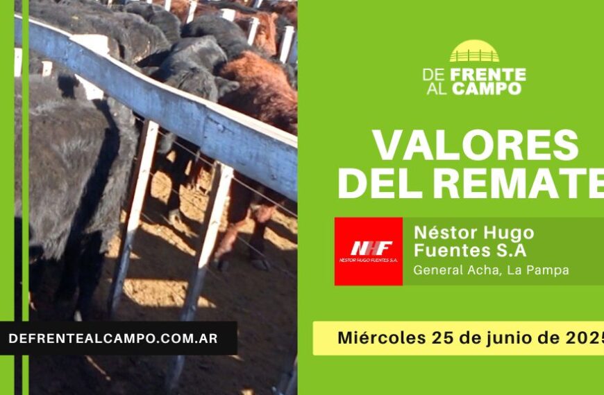 Valores del remate de Néstor Hugo Fuentes S.A. | General Acha | Miércoles 25/06/2025