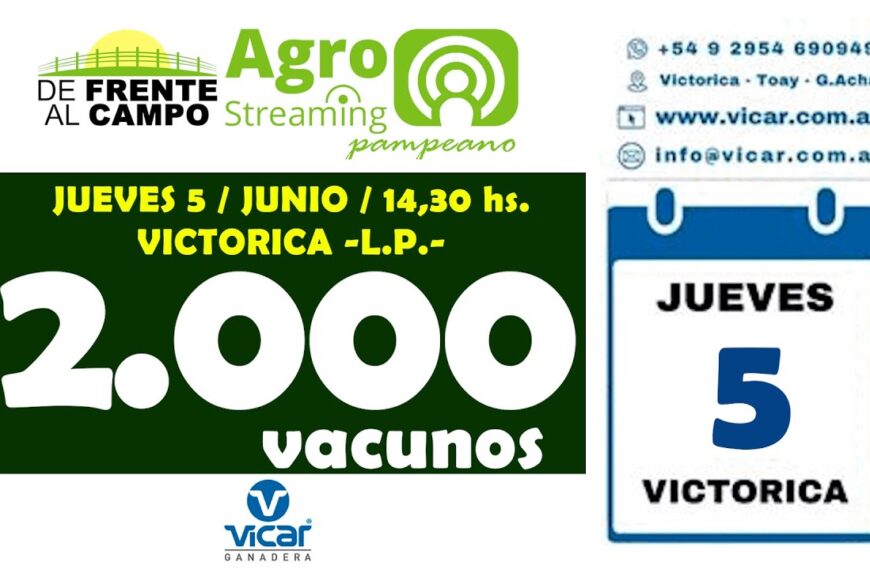 Vicar Ganadera S.A. | Victorica | Próximo Remate Feria el jueves 5 de junio de 2025