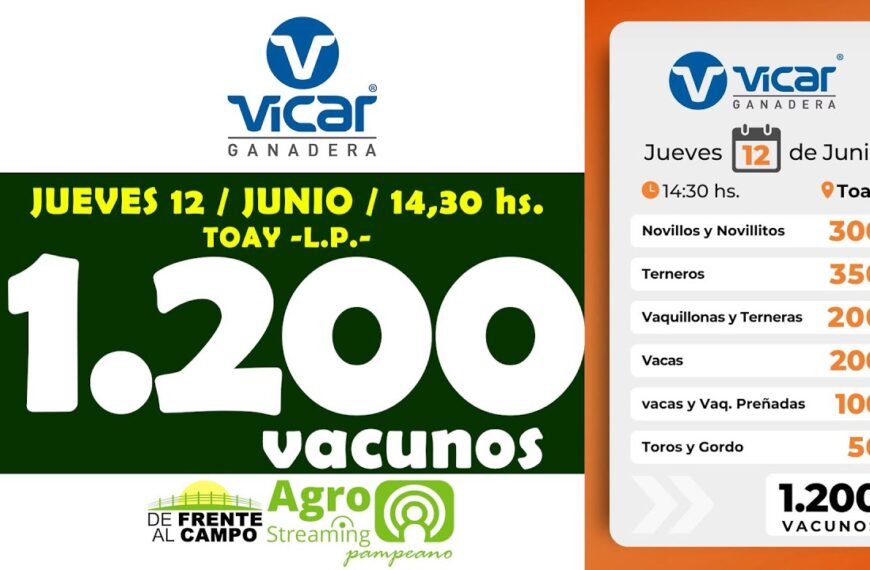 Vicar Ganadera S.A. | Toay | Próximo Remate Feria el jueves 12 de junio de 2025
