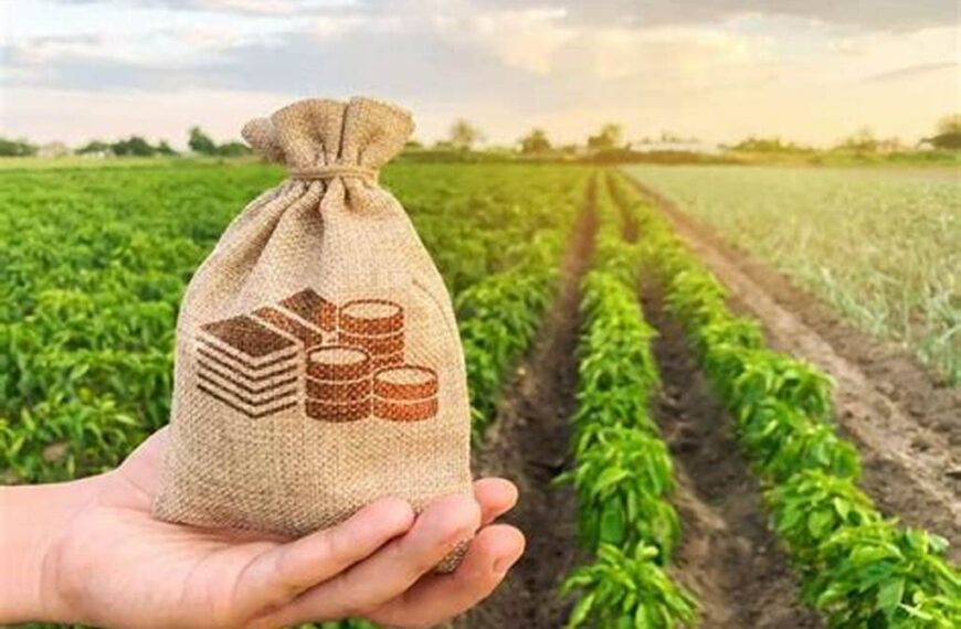 Récord histórico en la emisión de warrants: el financiamiento agroindustrial creció más de 200% en el primer cuatrimestre