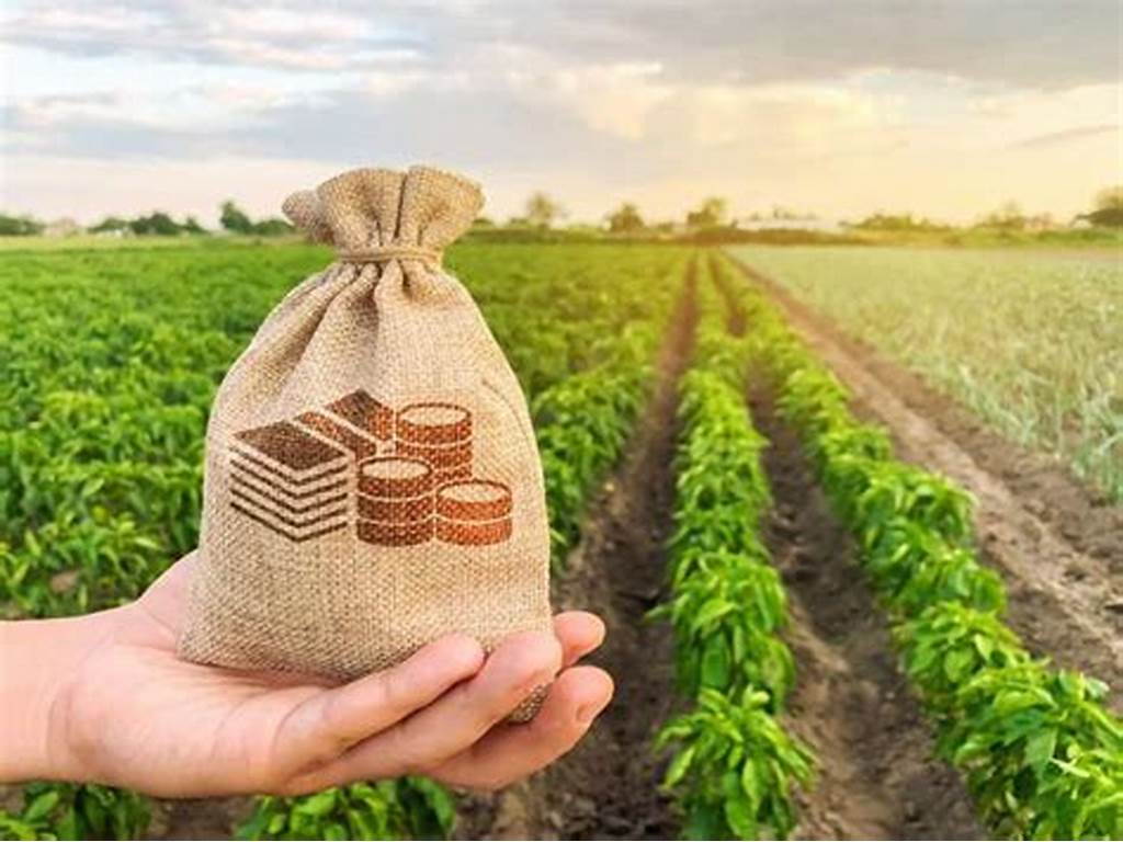 Récord histórico en la emisión de warrants: el financiamiento agroindustrial creció más de 200% en el primer cuatrimestre