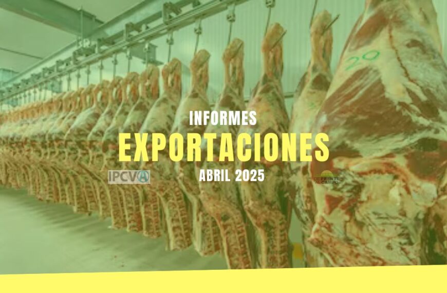 Exportaciones de Carne Vacuna Argentina: Sólido Desempeño en Abril de 2025