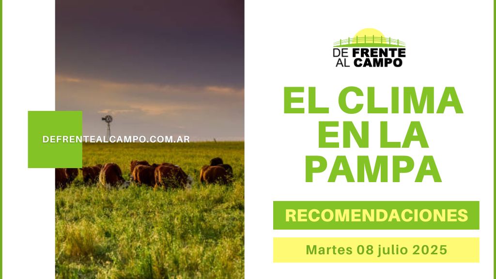 Sube la máxima a 21 °C y se mantiene la humedad alta: Precaución por niebla densa en toda La Pampa (Martes 08 de julio 2025)