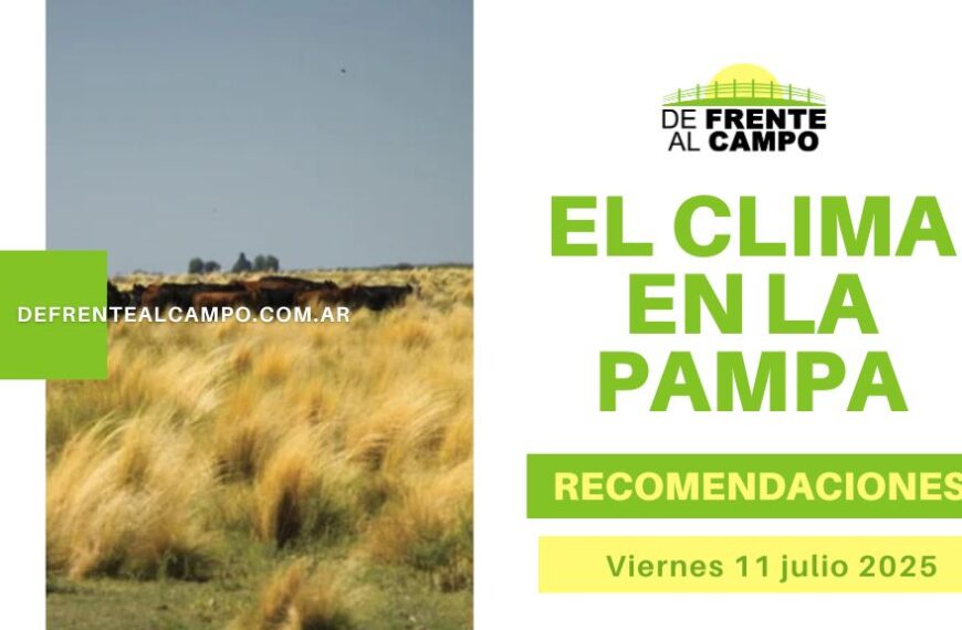 Jornada fría y soleada en La Pampa: 0 °C / 17 °C hoy Viernes 11 de julio 2025, con finde estable y soleado hasta 19 °C