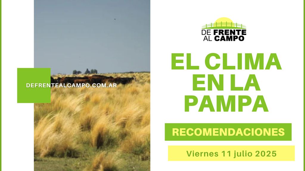 Jornada fría y soleada en La Pampa: 0 °C / 17 °C hoy Viernes 11 de julio 2025, con finde estable y soleado hasta 19 °C