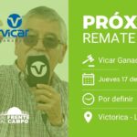 Vicar Ganadera S.A. | Victorica | Próximo Remate Feria el jueves 17 de julio de 2025
