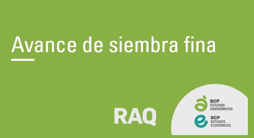 Avance de Campaña Fina: Reporte Quincenal Junio 2025 de la BCP