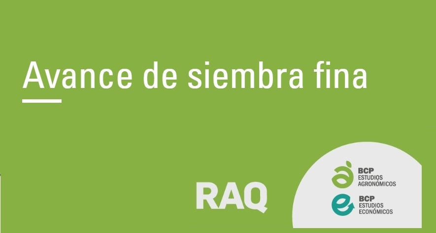Avance de Campaña Fina: Reporte Quincenal Junio 2025 de la BCP